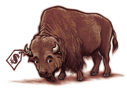 Buffalo