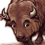 Buffalo